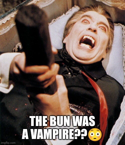THE BUN WAS A VAMPIRE??? | image tagged in dracula stake | made w/ Imgflip meme maker