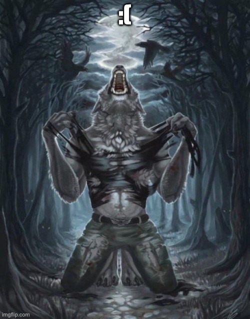 Wolf ripping shirt | :( | image tagged in wolf ripping shirt | made w/ Imgflip meme maker