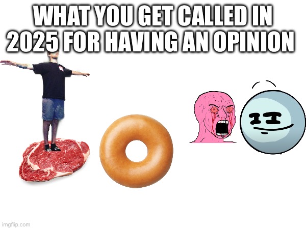 Ragebaiter, meat rider, and donut | WHAT YOU GET CALLED IN 2025 FOR HAVING AN OPINION | image tagged in 2025,insults,so true memes | made w/ Imgflip meme maker