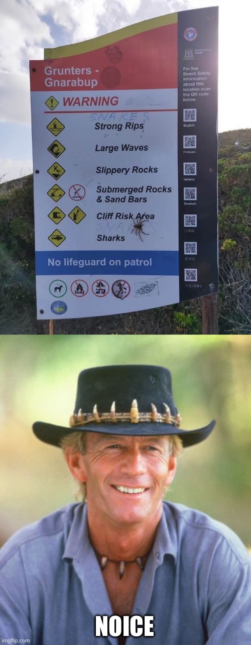 Snakes too | NOICE | image tagged in noice,snakes,danger,sign,beach,swimming | made w/ Imgflip meme maker