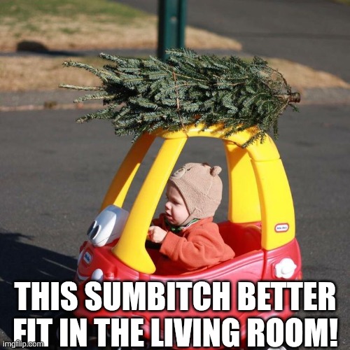 This Sumbitch Better Fit In The Living Room | THIS SUMBITCH BETTER FIT IN THE LIVING ROOM! | image tagged in chrisjoines1 | made w/ Imgflip meme maker