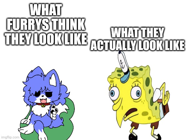 WHAT THEY ACTUALLY LOOK LIKE; WHAT FURRYS THINK THEY LOOK LIKE | made w/ Imgflip meme maker