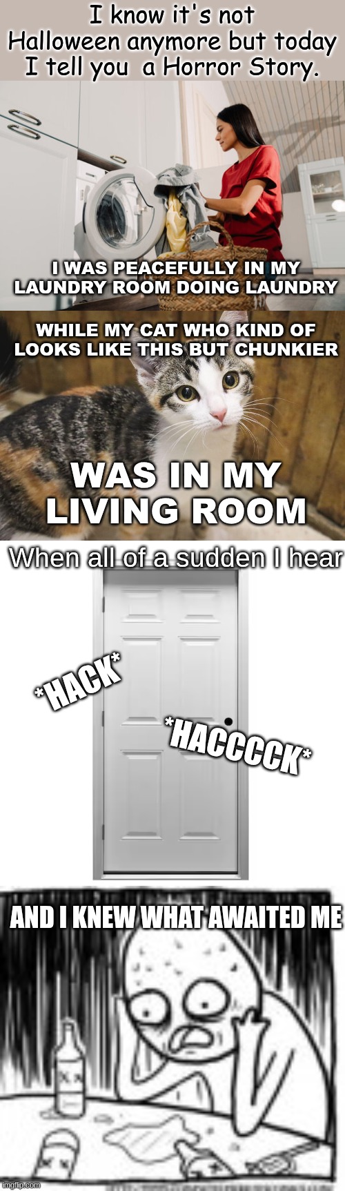 whyyyy kitty why!!! | I know it's not Halloween anymore but today I tell you  a Horror Story. I WAS PEACEFULLY IN MY LAUNDRY ROOM DOING LAUNDRY; WHILE MY CAT WHO KIND OF LOOKS LIKE THIS BUT CHUNKIER; WAS IN MY LIVING ROOM; When all of a sudden I hear; *HACK*; *HACCCCK*; AND I KNEW WHAT AWAITED ME | image tagged in why does my cat hate me | made w/ Imgflip meme maker