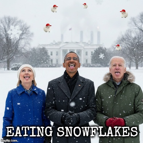 EATING SNOWFLAKES | EATING SNOWFLAKES | image tagged in snowflakes,maga,trump,hillary clinton,joe biden,obama | made w/ Imgflip meme maker