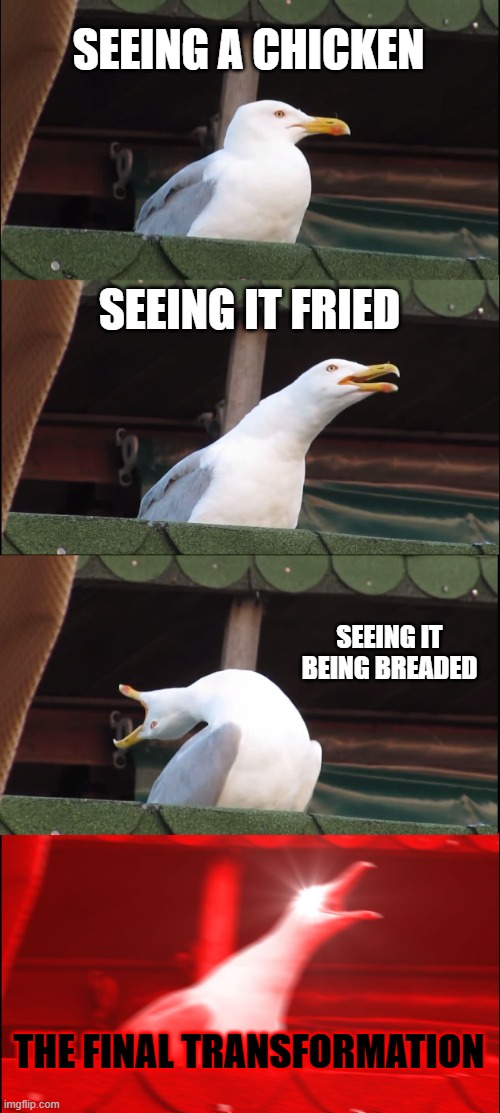 THE CHICKEN NUGGET | SEEING A CHICKEN; SEEING IT FRIED; SEEING IT BEING BREADED; THE FINAL TRANSFORMATION | image tagged in memes,inhaling seagull,chicken nuggets,hungry | made w/ Imgflip meme maker