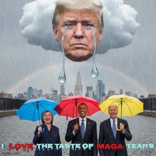 I LOVE THE TASTE | I                     THE TASTE OF                     TEARS LOVE                                     MAGA | image tagged in tears,maga,trump,clinton,obama,biden | made w/ Imgflip meme maker