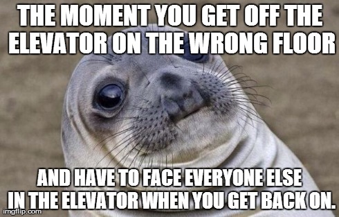 Awkward Moment Sealion | THE MOMENT YOU GET OFF THE ELEVATOR ON THE WRONG FLOOR AND HAVE TO FACE EVERYONE ELSE IN THE ELEVATOR WHEN YOU GET BACK ON. | image tagged in memes,awkward moment sealion | made w/ Imgflip meme maker