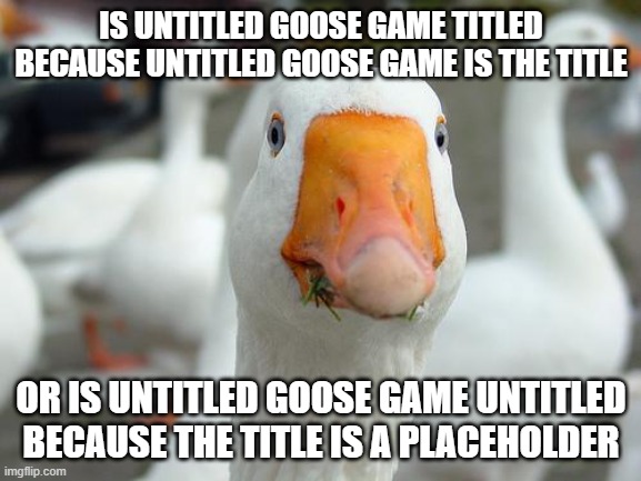 untitled goose game | IS UNTITLED GOOSE GAME TITLED BECAUSE UNTITLED GOOSE GAME IS THE TITLE; OR IS UNTITLED GOOSE GAME UNTITLED BECAUSE THE TITLE IS A PLACEHOLDER | made w/ Imgflip meme maker
