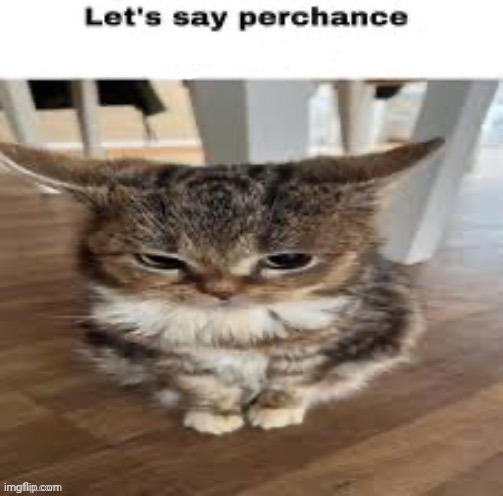 image tagged in lets say perchance i touch you | made w/ Imgflip meme maker