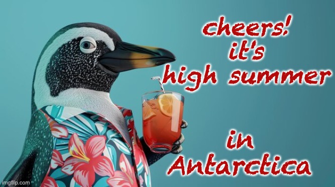 time to get out the little paper parasols | cheers! it's high summer; in Antarctica | image tagged in party penguin,summertime,funny meme | made w/ Imgflip meme maker