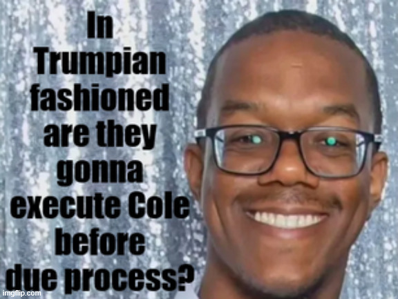 Due Process execute now dodge questions later | image tagged in due process execute now dodge questions later,transpoliticals are dangerous,deport all blacks,trump's pipe dream | made w/ Imgflip meme maker