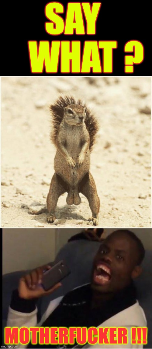 So . . . What’s On The Menu ???  Something Very Special !  : ) | SAY 
   WHAT ? MOTHERFUCKER !!! | image tagged in deez nuts | made w/ Imgflip meme maker