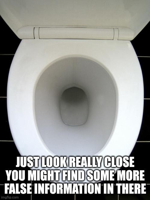 TOILET | JUST LOOK REALLY CLOSE YOU MIGHT FIND SOME MORE FALSE INFORMATION IN THERE | image tagged in toilet | made w/ Imgflip meme maker