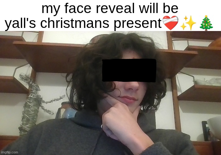 How bout' that chat | my face reveal will be yall's christmans present❤‍🩹✨🎄 | image tagged in facerevsoon | made w/ Imgflip meme maker