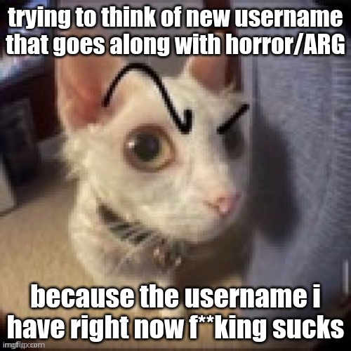 new username in works | trying to think of new username that goes along with horror/ARG; because the username i have right now f**king sucks | image tagged in side eye eyebrow raise cat | made w/ Imgflip meme maker