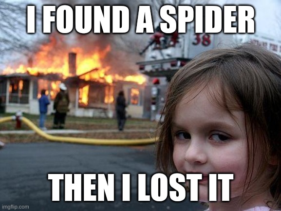 Disaster Girl Meme | I FOUND A SPIDER; THEN I LOST IT | image tagged in memes,disaster girl | made w/ Imgflip meme maker