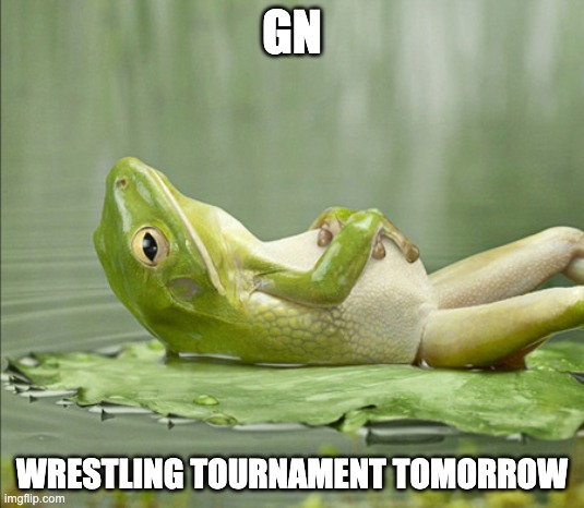FROG GOOD NIGHT | GN; WRESTLING TOURNAMENT TOMORROW | image tagged in frog good night | made w/ Imgflip meme maker