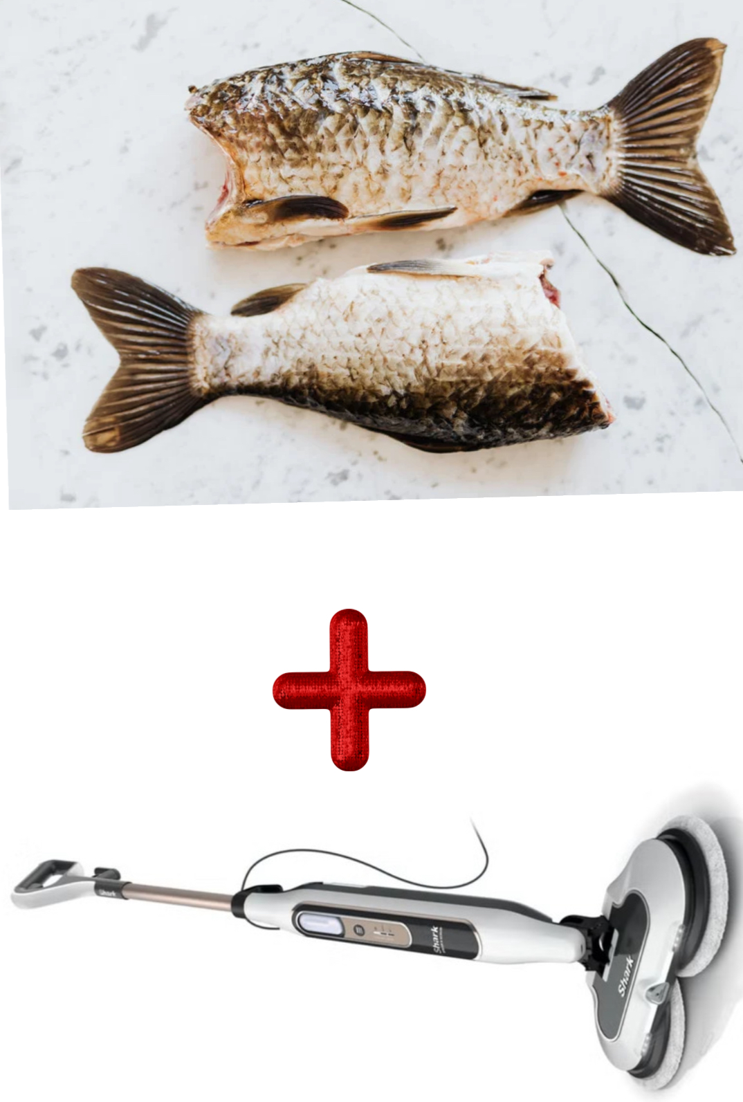 Mop plus fish scale Blank Meme Template