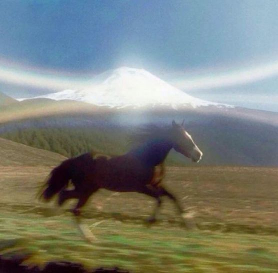 Horse Running Free Blank Meme Template