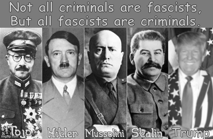 Fascists and criminals | Not all criminals are fascists, But all fascists are criminals. Trump | image tagged in al capone hated the nazi's,fascism is like herpes,3rd antichrist,add putin and netanyahu | made w/ Imgflip meme maker