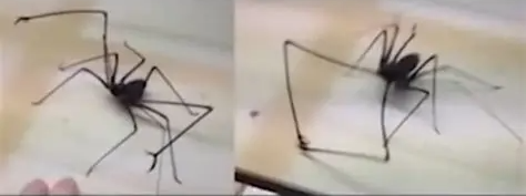 me when I get you Blank Meme Template