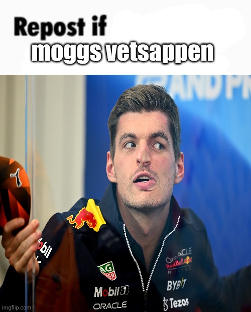 repost if | moggs vetsappen | image tagged in repost if | made w/ Imgflip meme maker