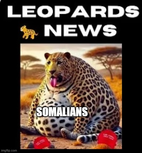 Trump Supporters - Leopard News | SOMALIANS | image tagged in somalians,republicans,maga,conservatives,trump | made w/ Imgflip meme maker