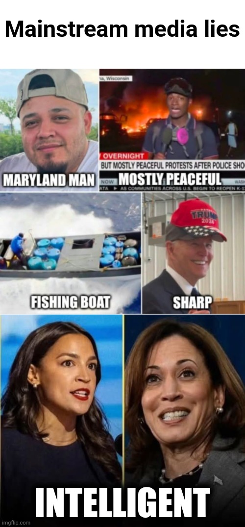 Mainstream media lies; INTELLIGENT | image tagged in memes,mainstream media,democrats,lies,kamala harris,aoc | made w/ Imgflip meme maker