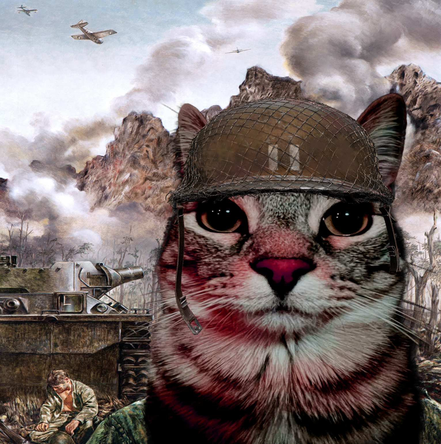 War Cat Blank Meme Template