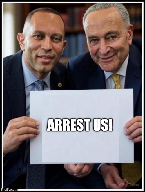 Begging to get arrested | ARREST US! | image tagged in hakeem jeffries chuck schumer sign,hakeem jeffries,chuck schumer,democrats,sign,warning sign | made w/ Imgflip meme maker
