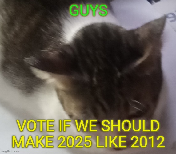 Ming mong | GUYS; VOTE IF WE SHOULD MAKE 2025 LIKE 2012 | image tagged in ming mong | made w/ Imgflip meme maker