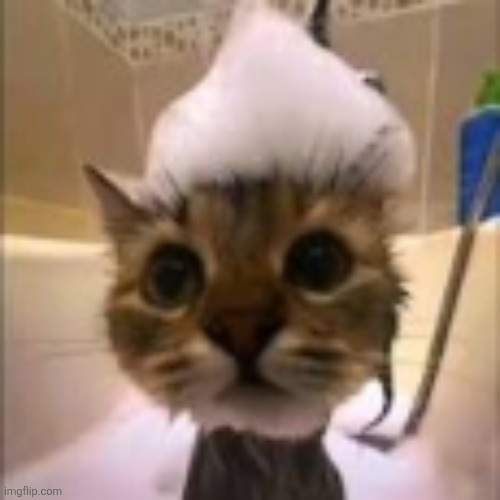 . | made w/ Imgflip meme maker