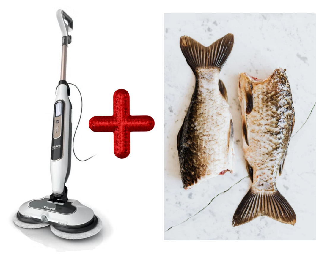 Fish scale steam mop Blank Meme Template