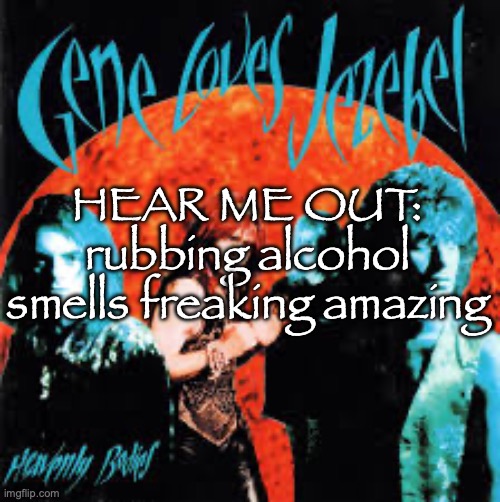 anygay goodnight chat | HEAR ME OUT: rubbing alcohol smells freaking amazing | image tagged in heavenly bodies | made w/ Imgflip meme maker