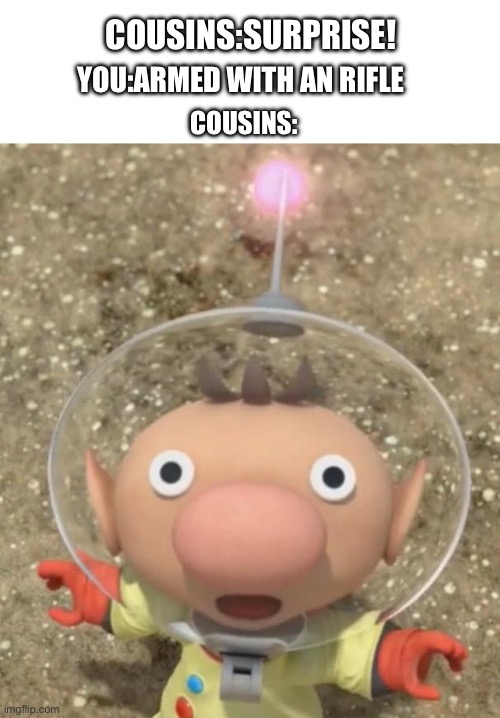 Happy birthday?? | COUSINS:SURPRISE! YOU:ARMED WITH AN RIFLE; COUSINS: | image tagged in olimar scared | made w/ Imgflip meme maker