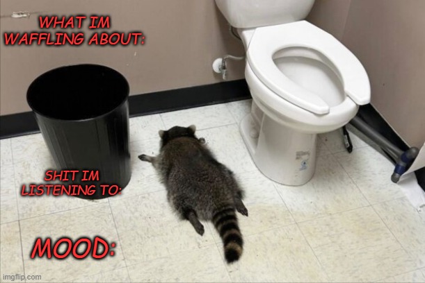 look at this meme I made | WHAT IM WAFFLING ABOUT:; SHIT IM LISTENING TO:; MOOD: | image tagged in drunk raccoon | made w/ Imgflip meme maker