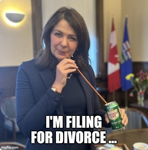 Canadian politics | image tagged in political meme | made w/ Imgflip meme maker