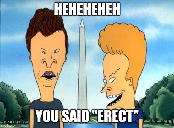 you said erect hehehehehe | HEHEHEHEH; YOU SAID "ERECT" | image tagged in beavis and butthead | made w/ Imgflip meme maker