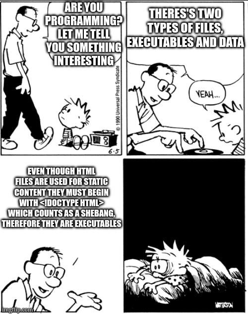 html is a programming language | THERES'S TWO TYPES OF FILES, EXECUTABLES AND DATA; ARE YOU PROGRAMMING? LET ME TELL YOU SOMETHING INTERESTING; EVEN THOUGH HTML FILES ARE USED FOR STATIC CONTENT THEY MUST BEGIN WITH <!DOCTYPE HTML> WHICH COUNTS AS A SHEBANG, THEREFORE THEY ARE EXECUTABLES | image tagged in calvin's dad explains everything is of two types | made w/ Imgflip meme maker