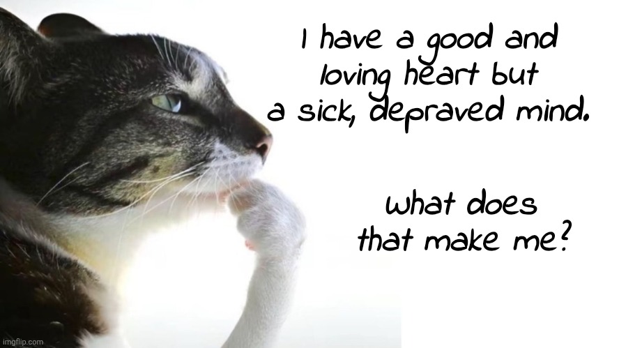 Am I a good person? | I have a good and loving heart but a sick, depraved mind. What does that make me? | image tagged in thinker,hmmm | made w/ Imgflip meme maker