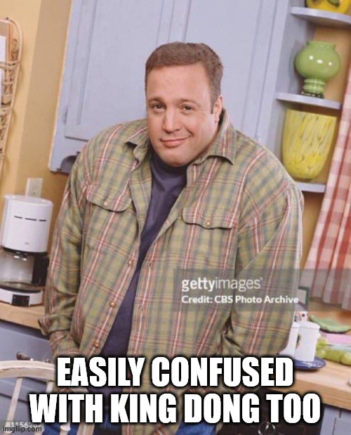 Kevin James | EASILY CONFUSED WITH KING DONG TOO | image tagged in kevin james | made w/ Imgflip meme maker