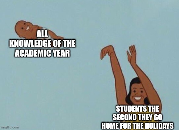 You gotta reset for the next year | ALL KNOWLEDGE OF THE ACADEMIC YEAR; STUDENTS THE SECOND THEY GO HOME FOR THE HOLIDAYS | image tagged in yeet baby,memes,school | made w/ Imgflip meme maker