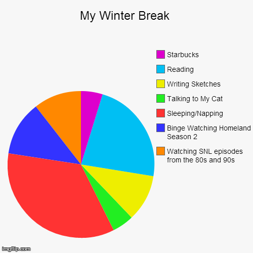 My Winter Break Watching SNL episodes from the 80s and 90s Binge Watching Homeland Season 2 Sleeping/Napping Talking to My Cat Writing Sketc | image tagged in funny,pie charts | made w/ Imgflip chart maker