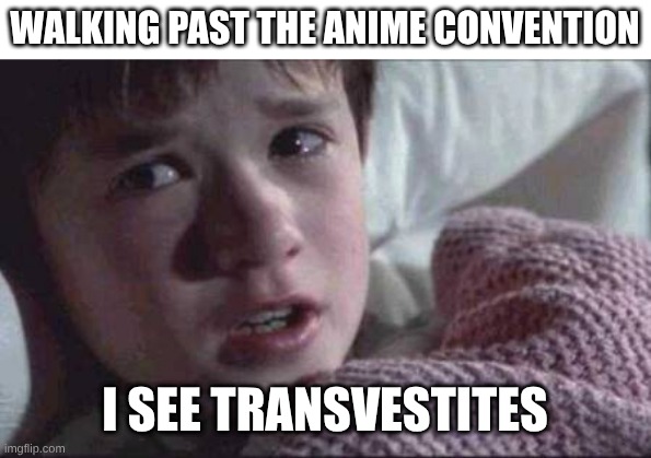 I See Dead People | WALKING PAST THE ANIME CONVENTION; I SEE TRANSVESTITES | image tagged in memes,i see dead people | made w/ Imgflip meme maker