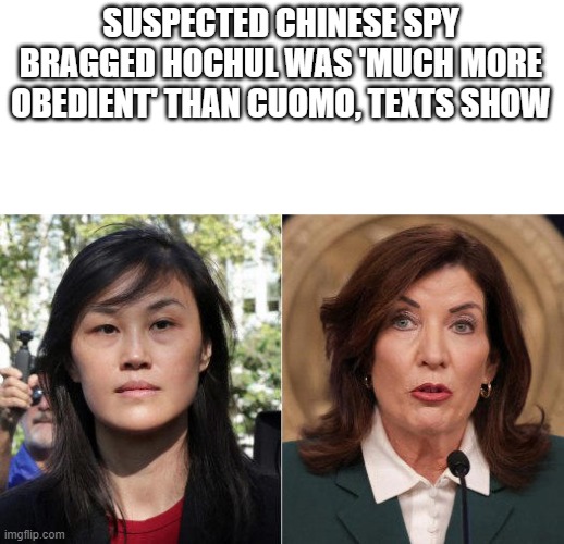 Obedient does she mean ' Like a Dog? ' Hochul's spy sure had a lot of respect for Cathy. | SUSPECTED CHINESE SPY BRAGGED HOCHUL WAS 'MUCH MORE OBEDIENT' THAN CUOMO, TEXTS SHOW | made w/ Imgflip meme maker
