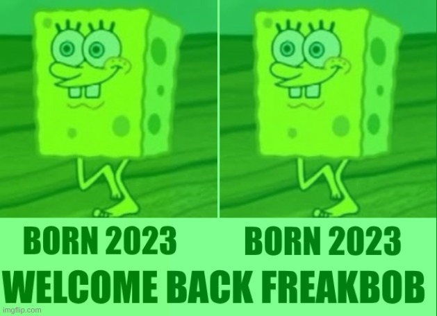 image tagged in freakbob,fry freaking out | made w/ Imgflip meme maker