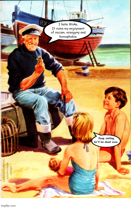 hmmm | I hate Woke.
It ruins my enjoyment
of racism, misogyny and
homophobia. Keep smiling,
he'll be dead soon. Ladybird illustration,
unknown artist: 
minkpen | image tagged in ladybird,woke,racism,misogyny,homophobia,right wing | made w/ Imgflip meme maker