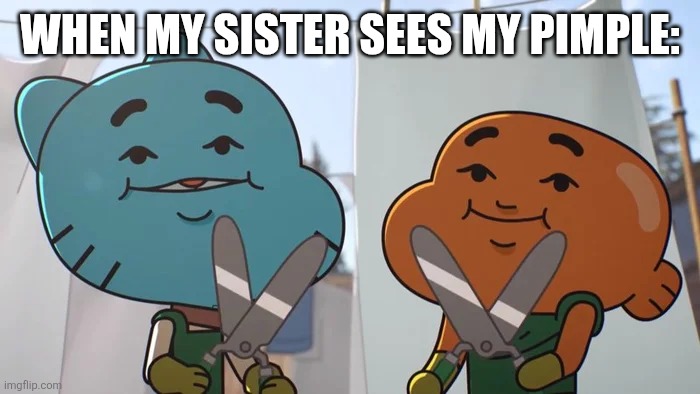 My sister does this... | WHEN MY SISTER SEES MY PIMPLE: | image tagged in lost privileges | made w/ Imgflip meme maker
