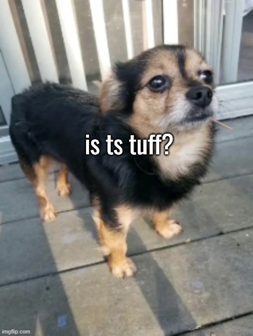 is ts tuff? | made w/ Imgflip meme maker