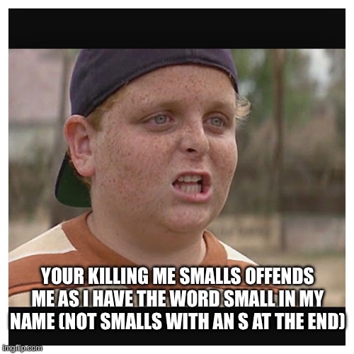 Your killing me smalls | YOUR KILLING ME SMALLS OFFENDS ME AS I HAVE THE WORD SMALL IN MY NAME (NOT SMALLS WITH AN S AT THE END) | image tagged in your killing me smalls | made w/ Imgflip meme maker